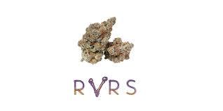 RVRS-Small Bud-Powdered Donuts (IH)