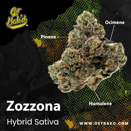 Zozzona 3.5g -Jake's Jungle