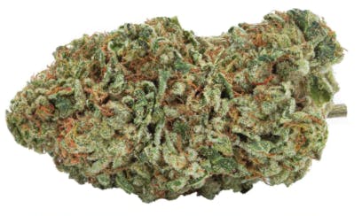 The Green Organic Dutchman - Organic Maple Kush - Indica - 3.5g