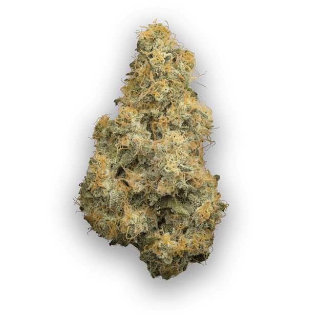 Coast Mountain Cannabis - BC Organic Pure Cake Skunk - Indica - 3.5g