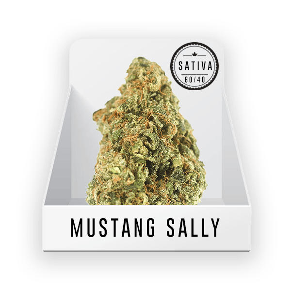 Bud (Top Shelf) - Mustang Sally 13.4%-22.1% THC