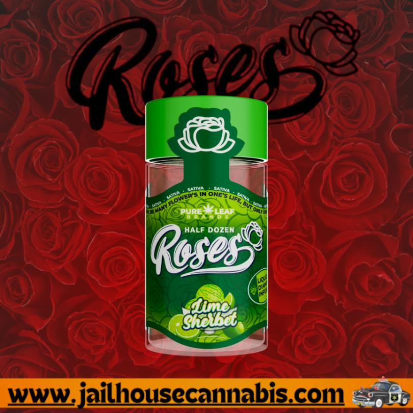 Roses - Lime Sherbet Multi pack 3.6g