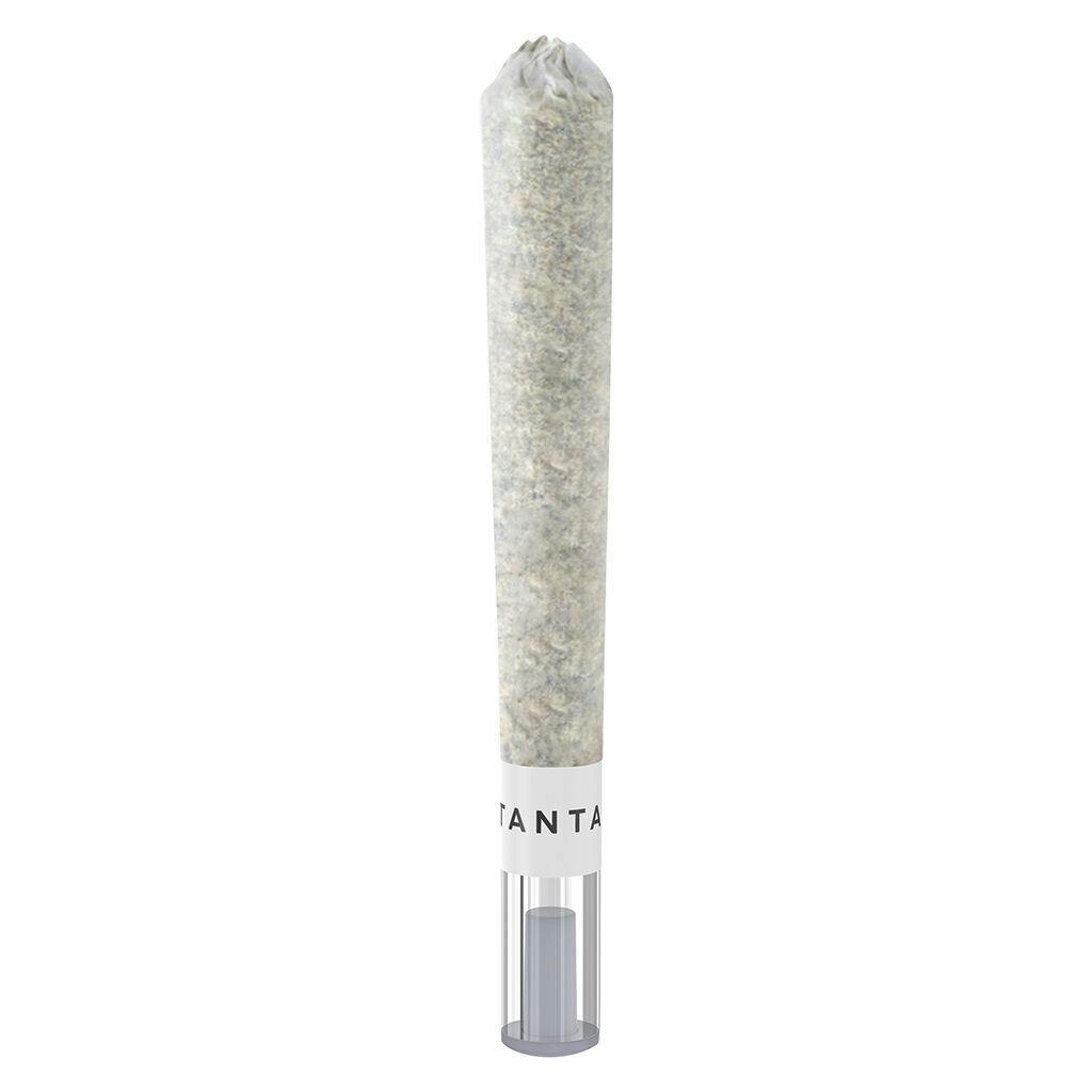 Tantalus Labs - Animal Sundae Glass Tip Pre-Roll - 1x1g