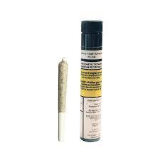 Truro - Jealousy x Apples & Bananas Pre-Roll - 1x0.5g
