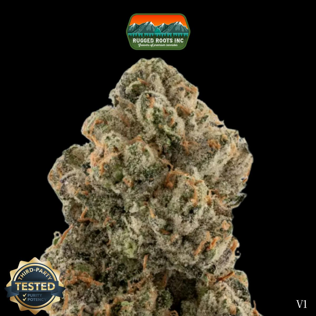 Rugged Roots | Vanilla Wafer