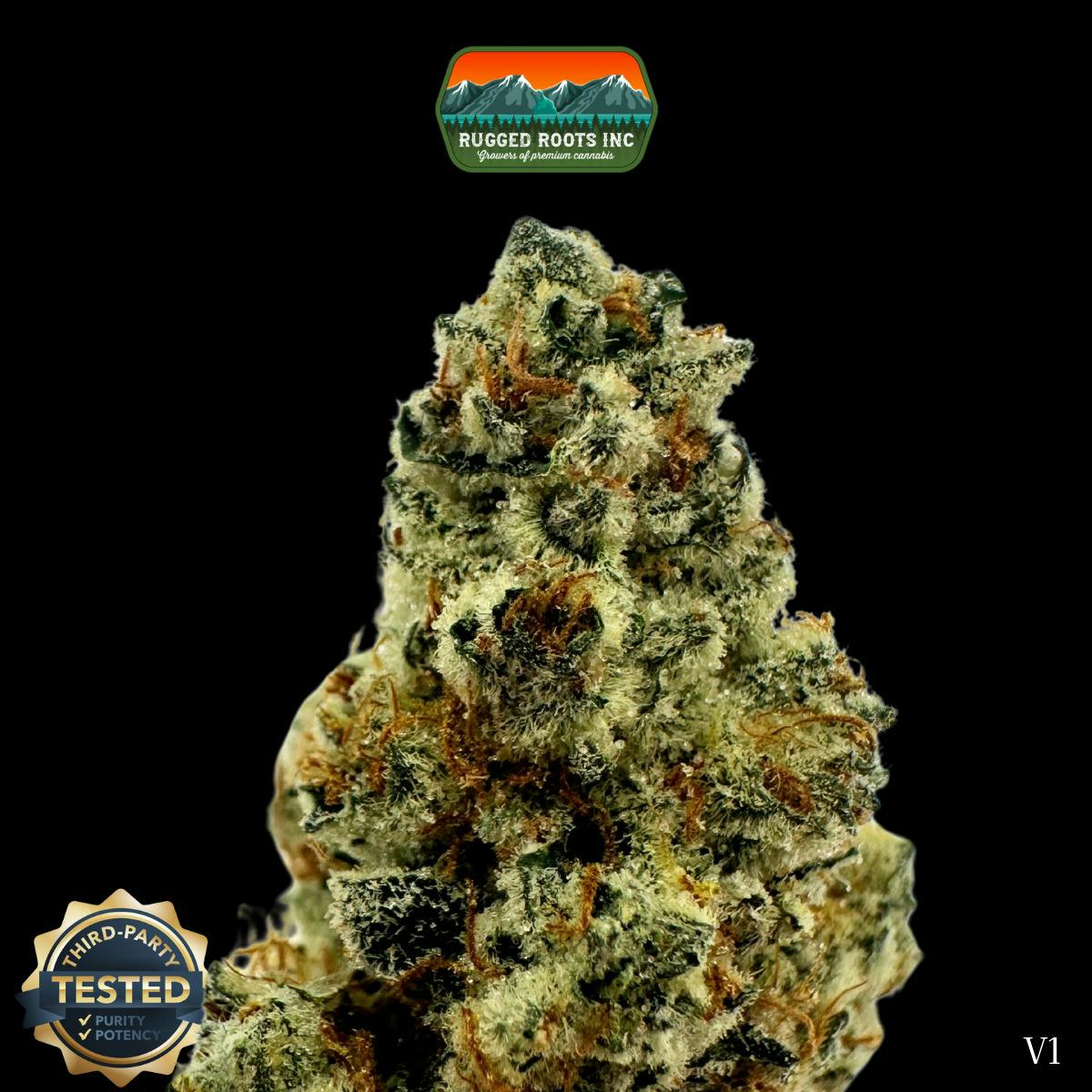 Rugged Roots | Gastronaught Dime Bag at Rugged Roots Trading Post- Bangor
