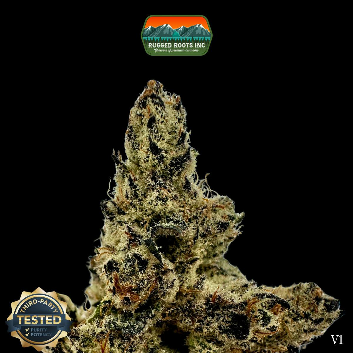 Rugged Roots | Sunnyvale Sour