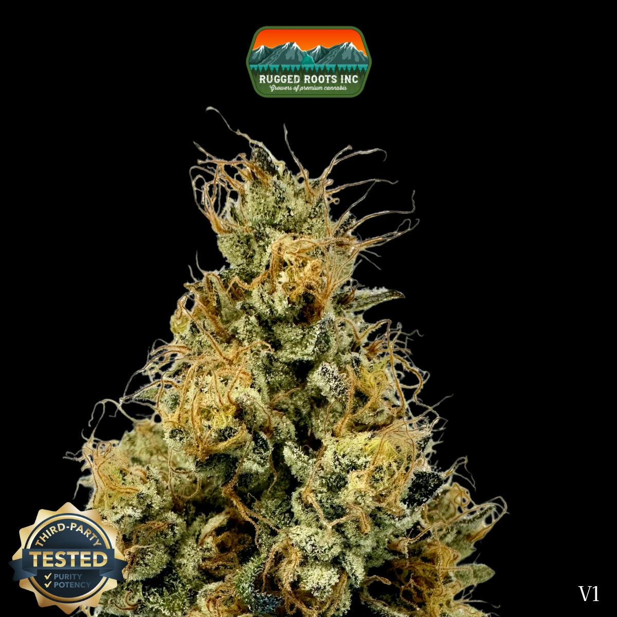Rugged Roots | Khalifa Kush Dime Bag