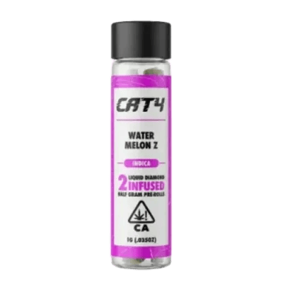 WATERMELON Z — Watermelon Z Infused Pre-roll 2 Pack 1G