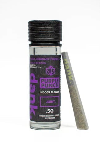 PURPLE PUNCH .5G PREROLL