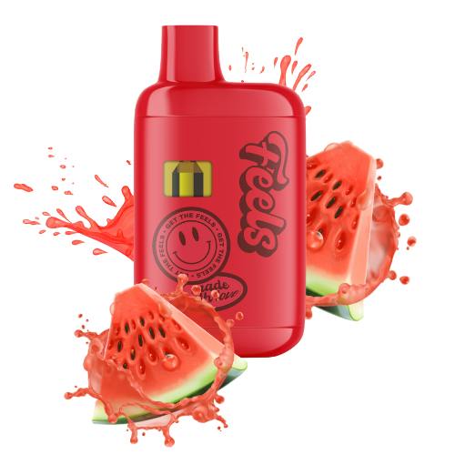 WATERMELON OG 1G FEELS ALL IN ONE