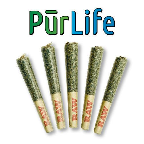 Gorilla Cream | PreRoll 5Pk