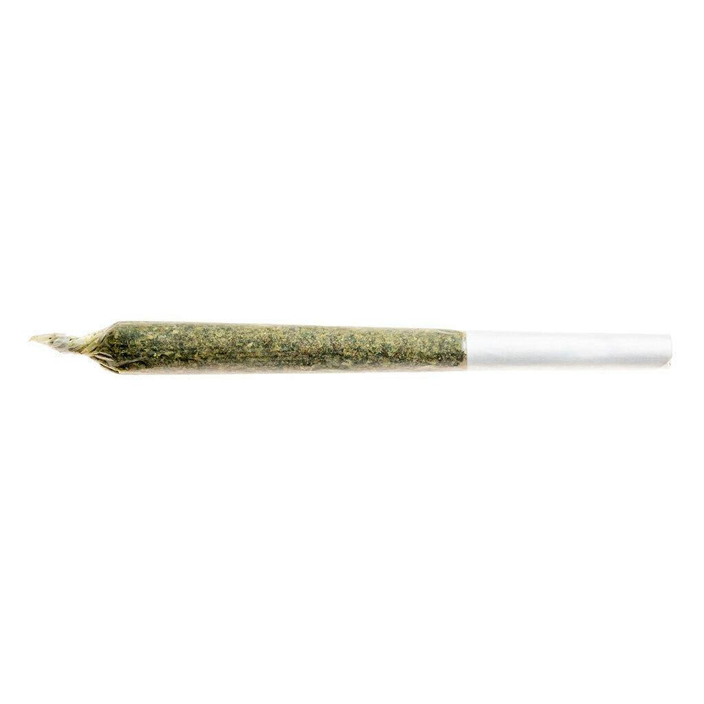 Jean Guy Pre-Roll 1x1g Pre-Rolls