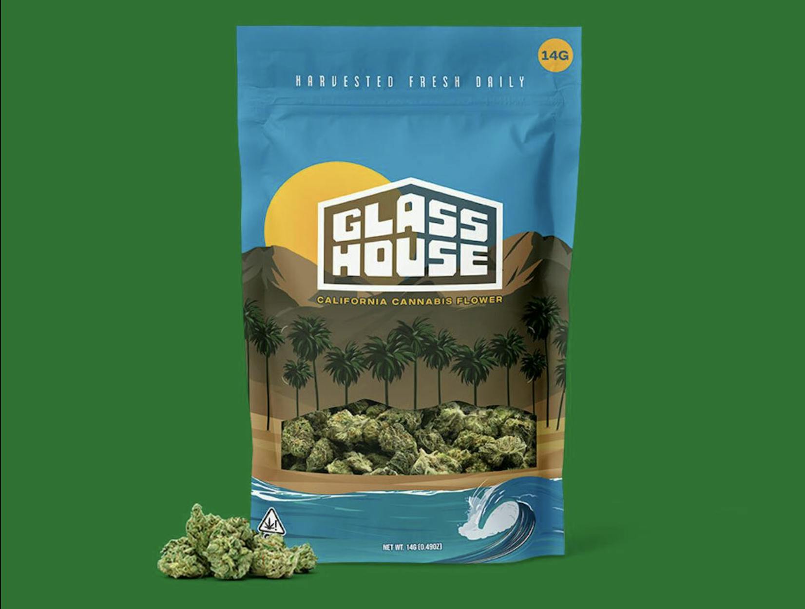 GHF | KEY LIME JACK | FLOWER | 14G