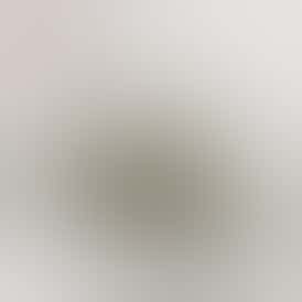 Gary Payton - Hybrid Sativa - Fuego