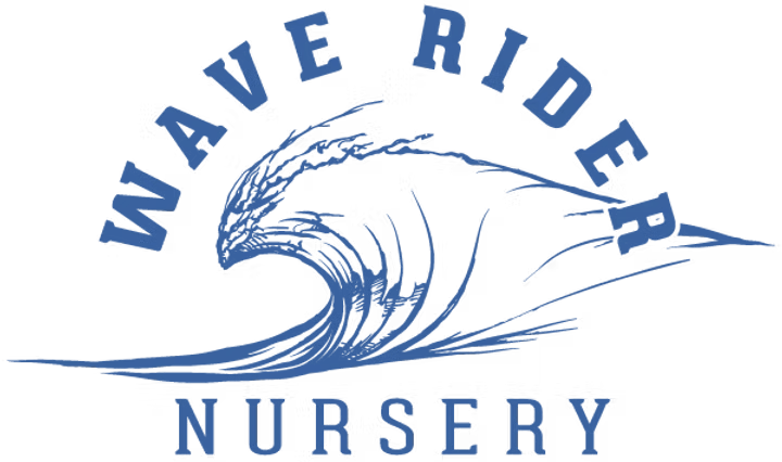 WAVE RIDER SUPER: Super Boof