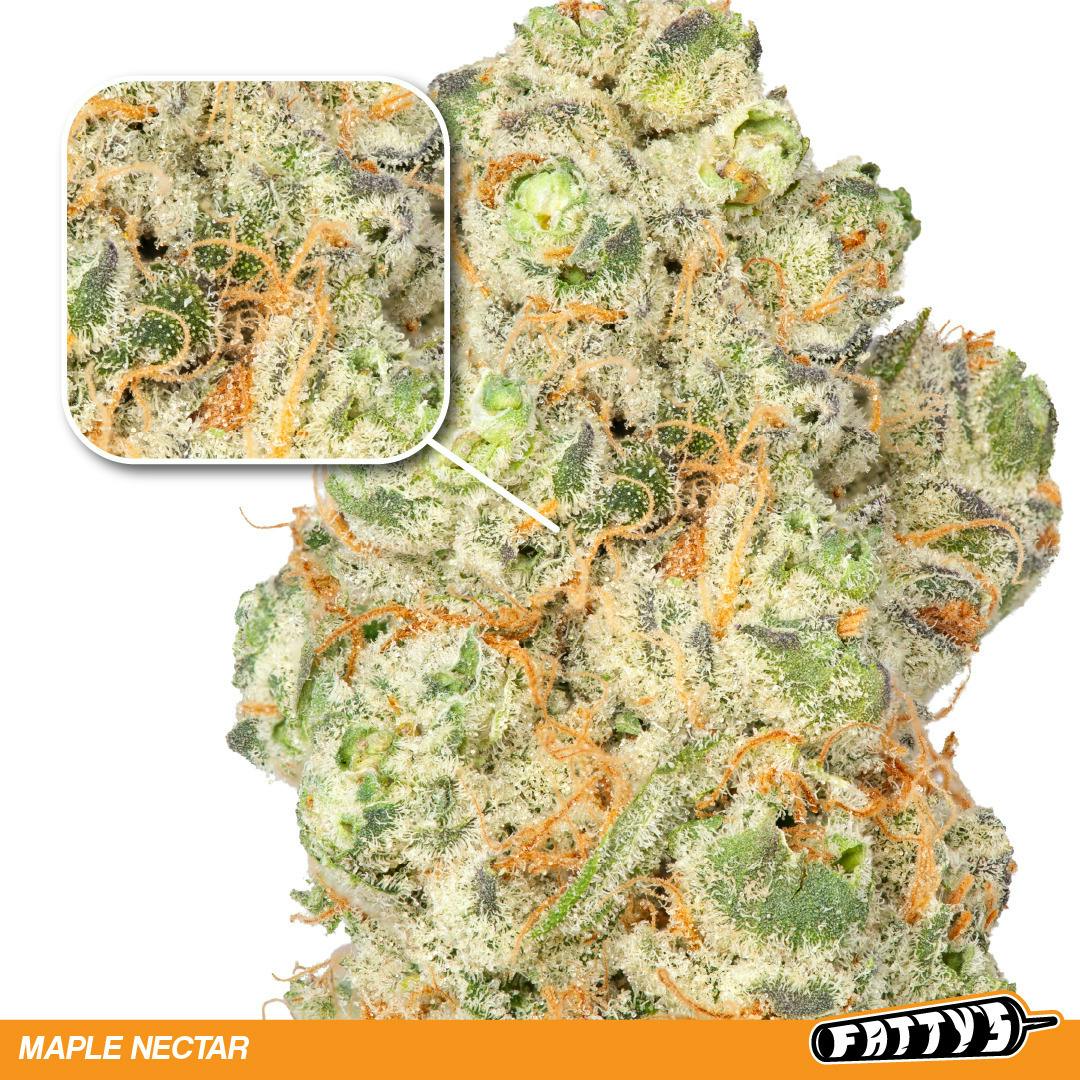 Fatty's | Maple Nectar