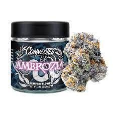 CONNECTED - — Ambrozia