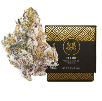 Maven Genetics: New Money