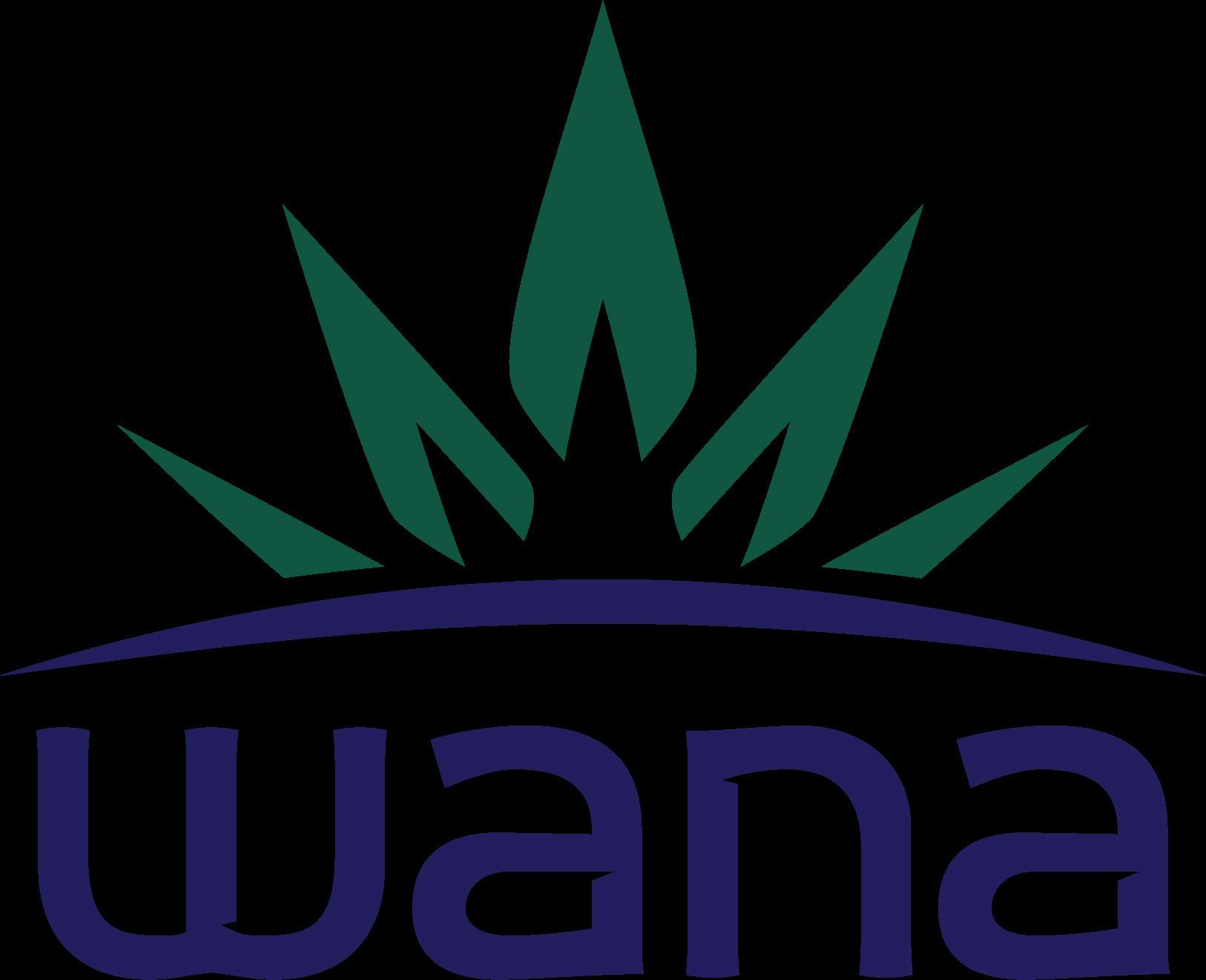 Stash House - Wana: High Dose Sativa - Raspberry Limeade Gummies 1000mg - 10pk