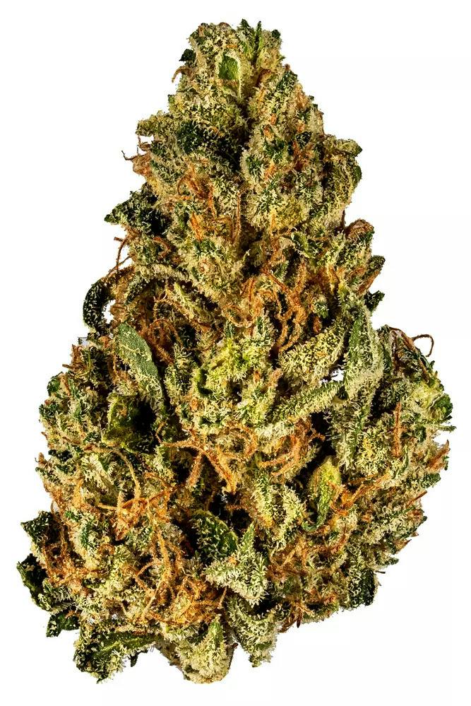 Carbon | Rainbow Sherbert