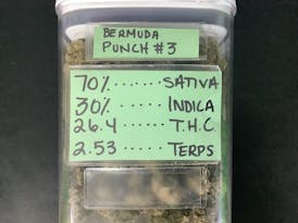 Method - Premium - Bermuda Punch #3 - (g)