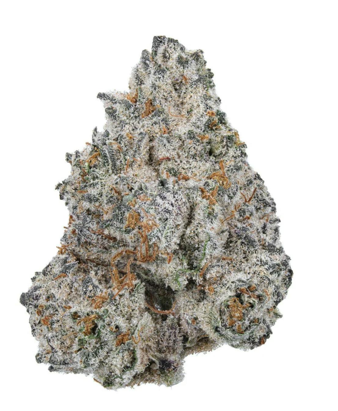 White Truffle 3.5g - SHC - 29% - Indica