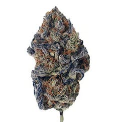 Blueberry Scone 3.5g - High Society - 29.5% - Sativa
