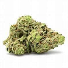 Gary's Eyes | 3.5g