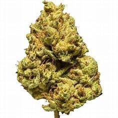 Triple Cheese 7g - Delta Bud - 26.9% - Indica Hybrid
