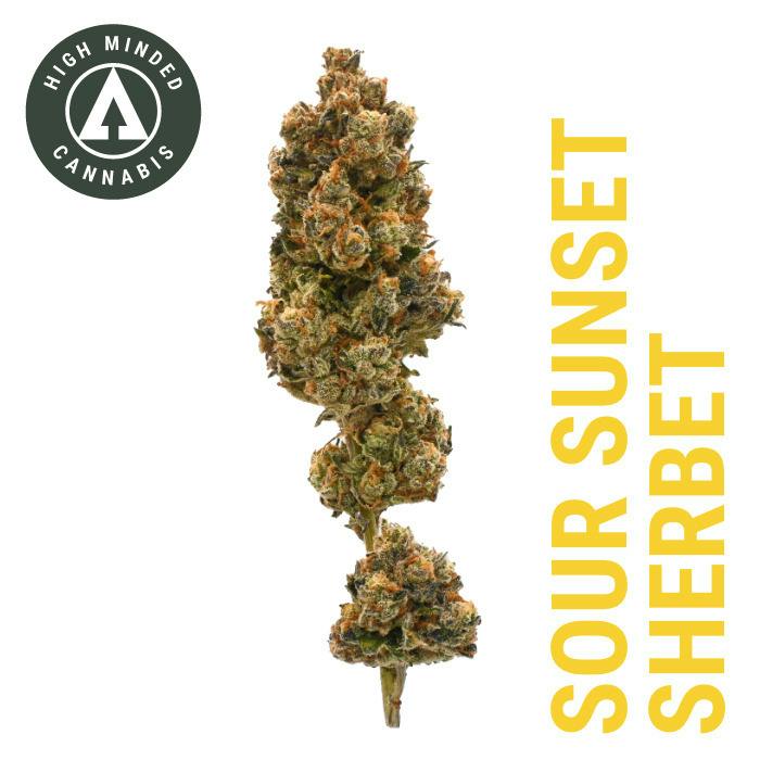 Sour Sunset Sherbet - Gold Tier