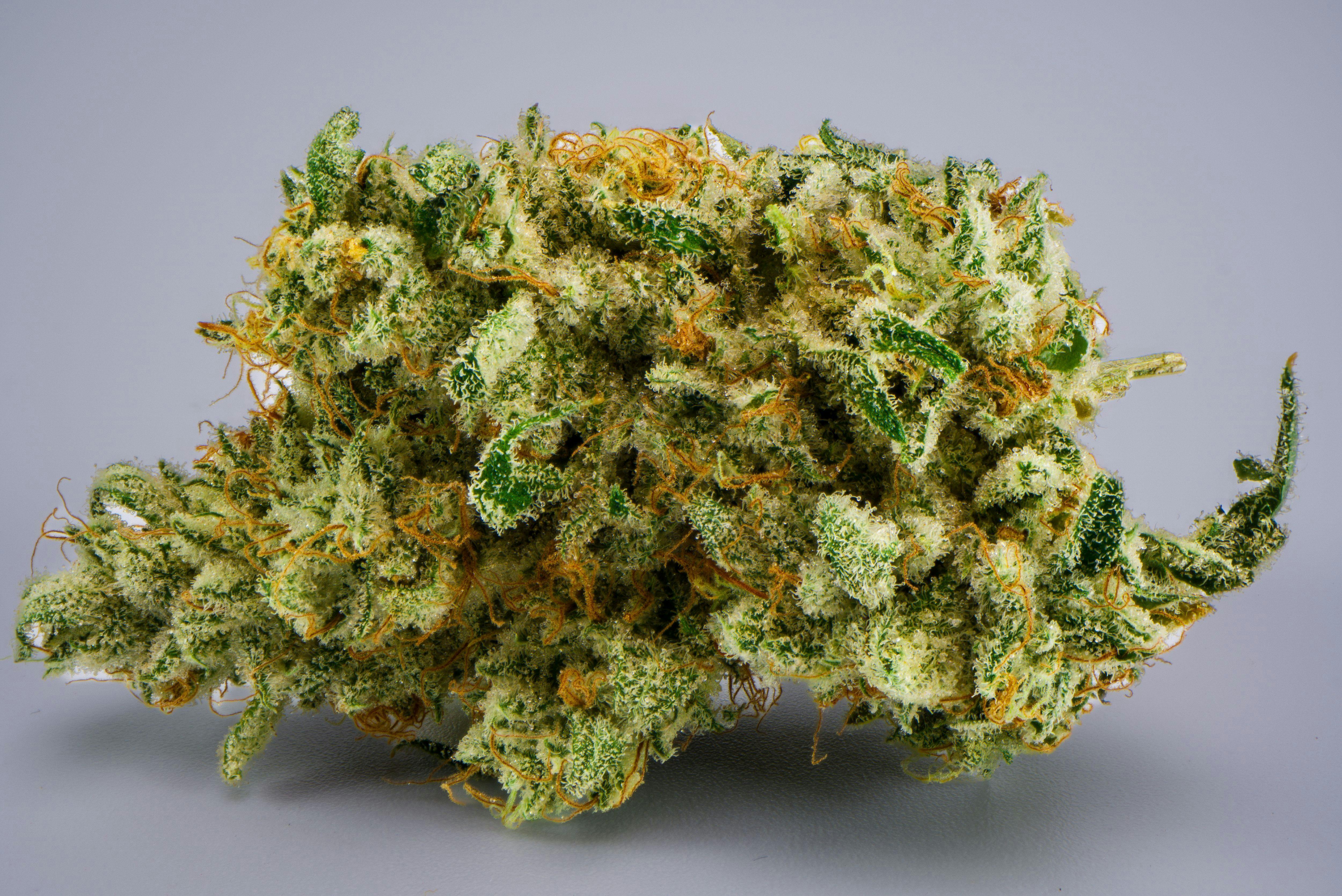 Alien Cream Cookies - Gold Tier cannabis product