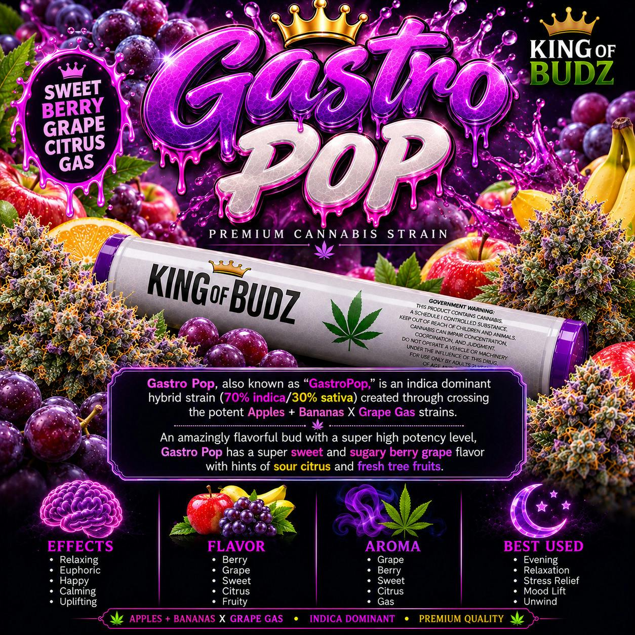KOB - 1g Preroll - Gastro Pop