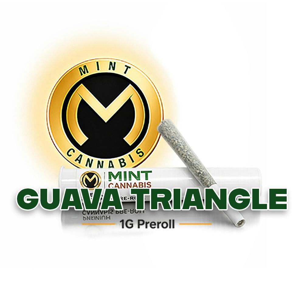 Mint Premium 1.0g Prerolls - GV Triangle at Mint Cannabis - Gainesville