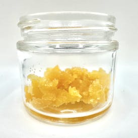 Concentrate - Headband - Hybrid - Bulk