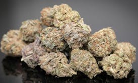 CannaRx - Flower - Gelato 41 - Hybrid