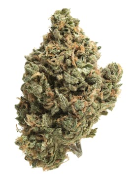 CannaRx - Flower - Mint Milano - Hybrid