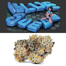 Cookies | Blue Suede | Prepackage EIGHTH