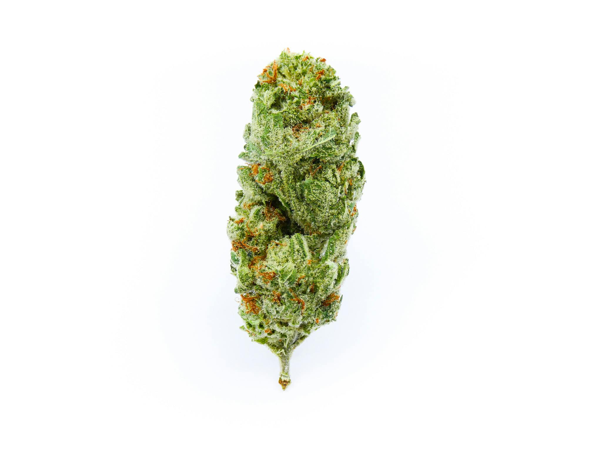 HEADBAND