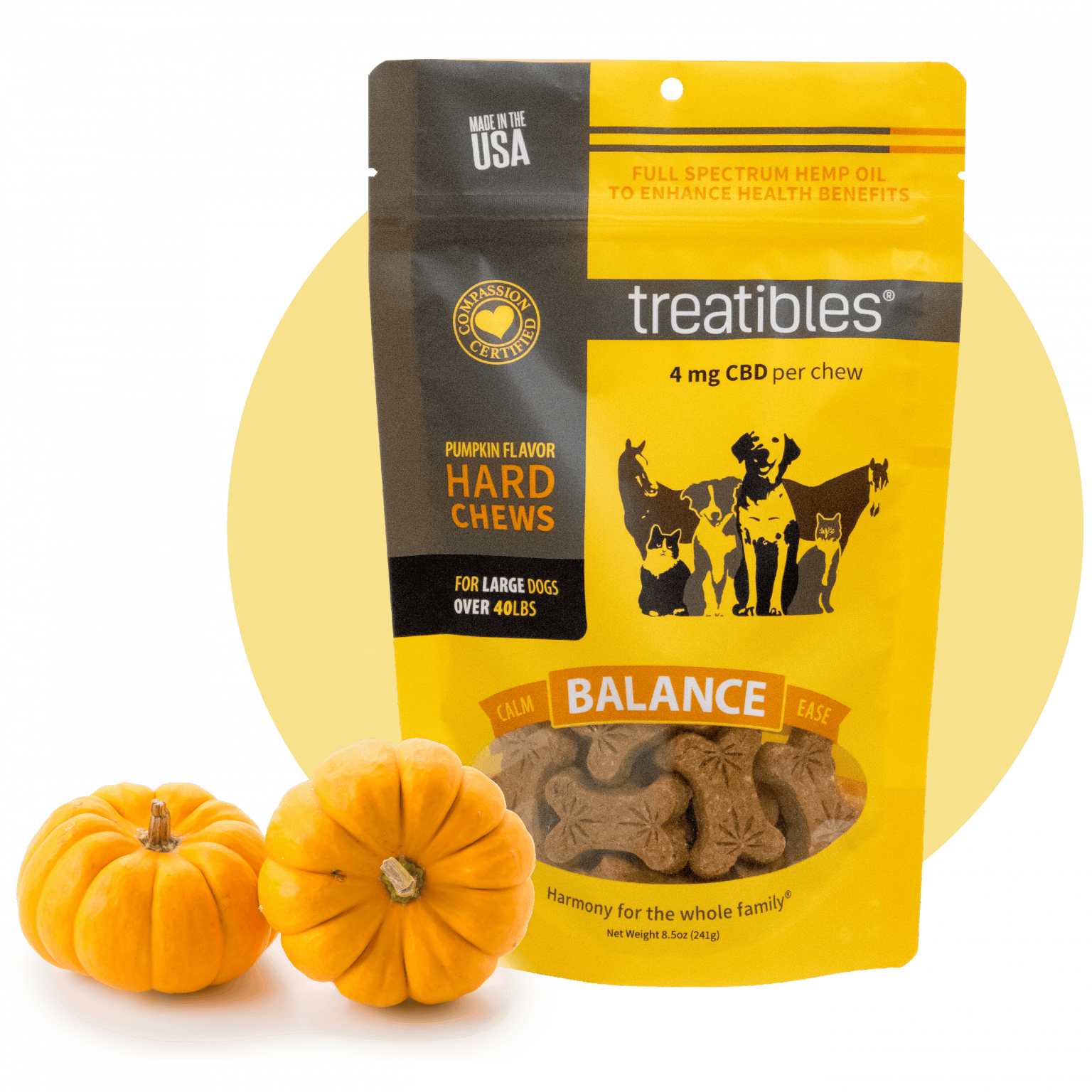 LARGE PUMPKIN DOG TREATS
