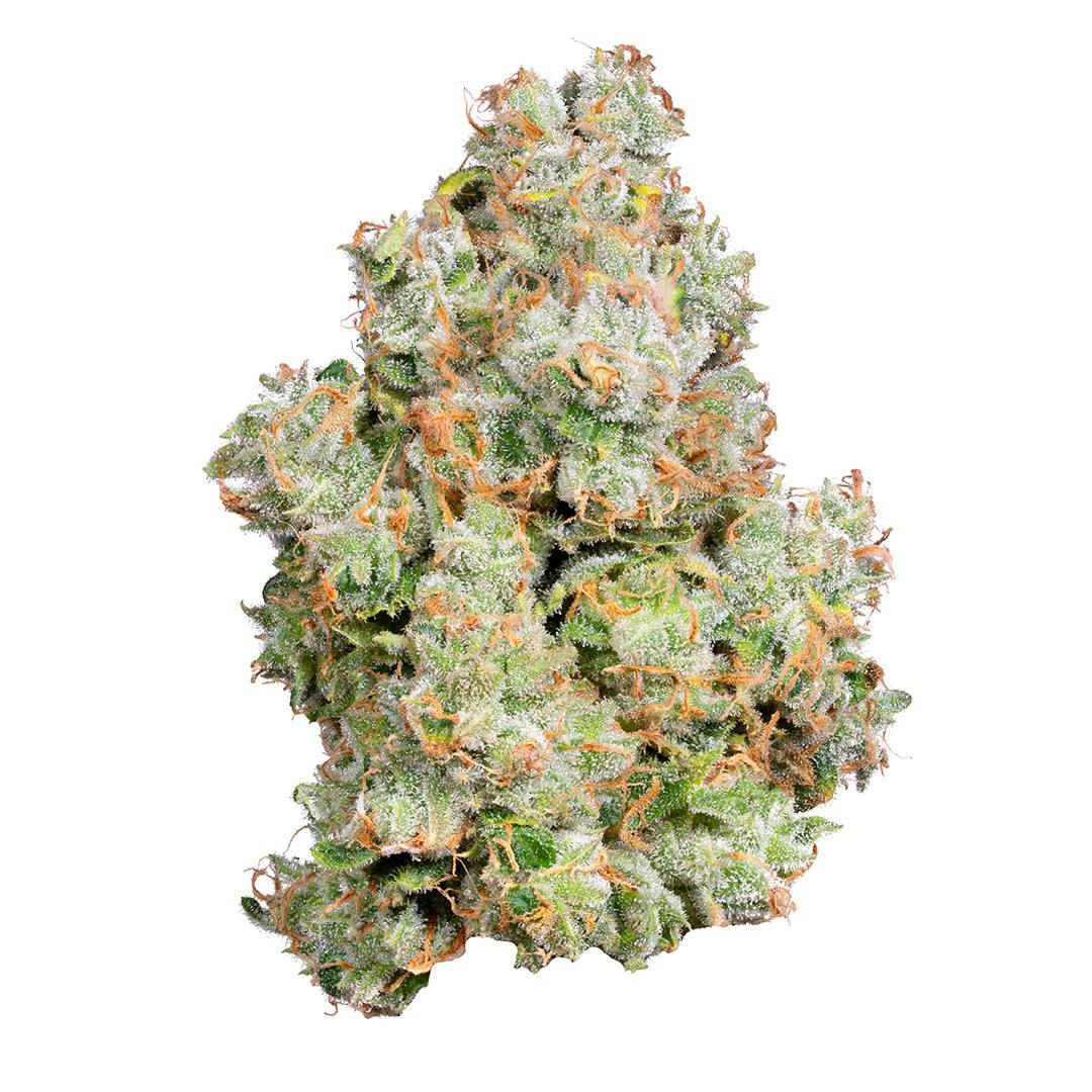 XJ-13