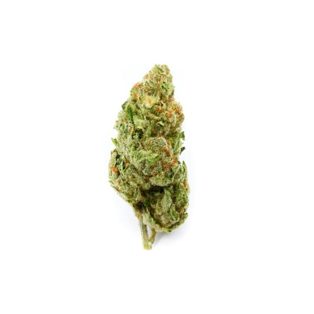 DURBAN POISON