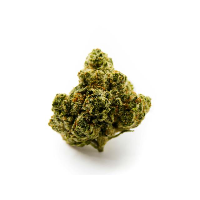 GHOST OG