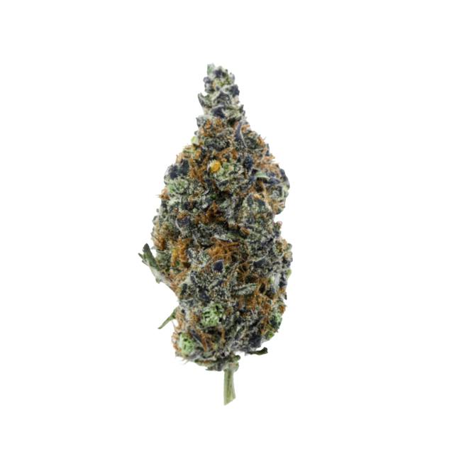 CALI PURPLE