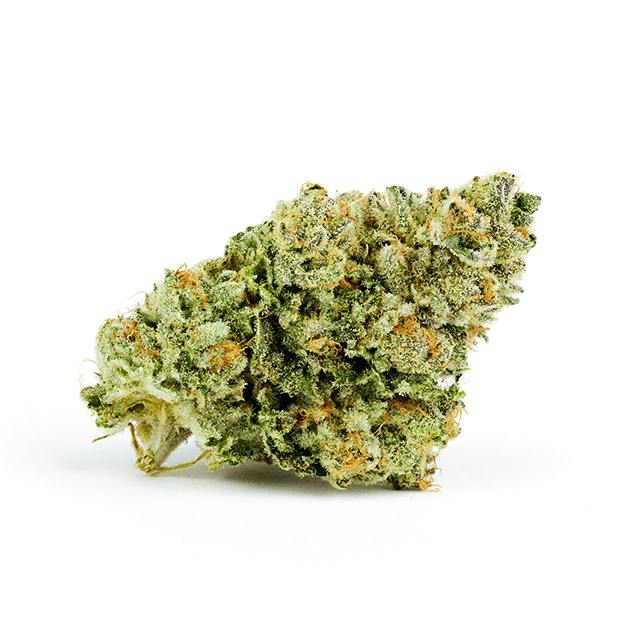 MISSTER KUSH