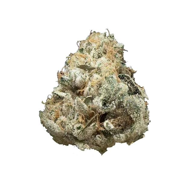 LEMON GRINDER