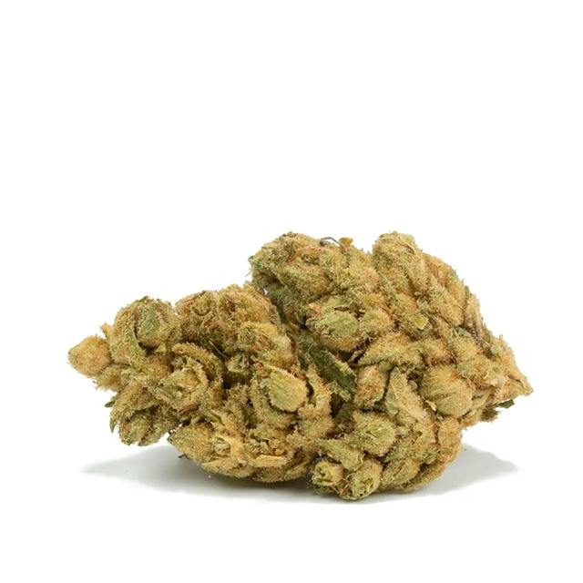 ORANGE DIESEL