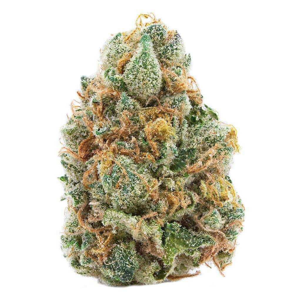 GMO Cookies 3.5g Dried Flower