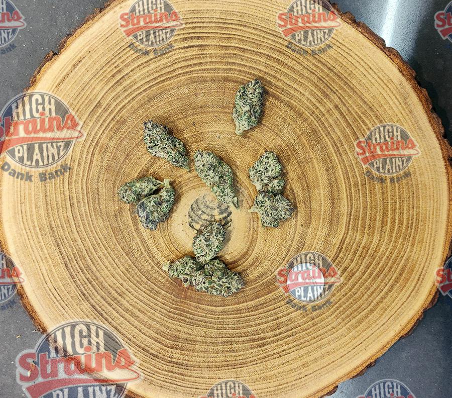 High Plainz Higher Shelf Oreoz Bulk