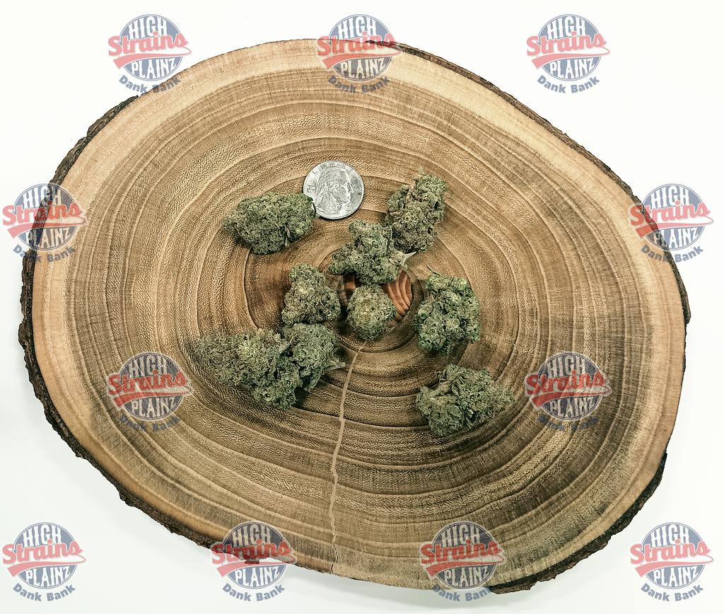 High Plainz Highest Shelf Lemon Jet Haze Bulk